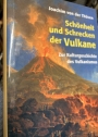 Schönheit und Schrecken der Vulkane: Zur Kulturgeschichte des Vulkanismus.