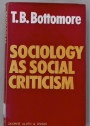 Sociology as Social Criticism.