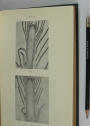 Biological Action of Growth Substances.