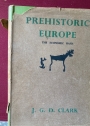 Prehistoric Europe: The Economic Basis. First Edition.