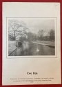 Coe Fen.