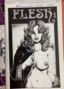 Flesh. Issue 1.