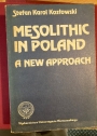 Mesolithic in Poland. A new Approach.