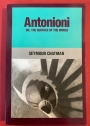 Antonioni or, The Surface of the World