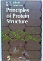 Principles of Protein Structure. Second Printing.